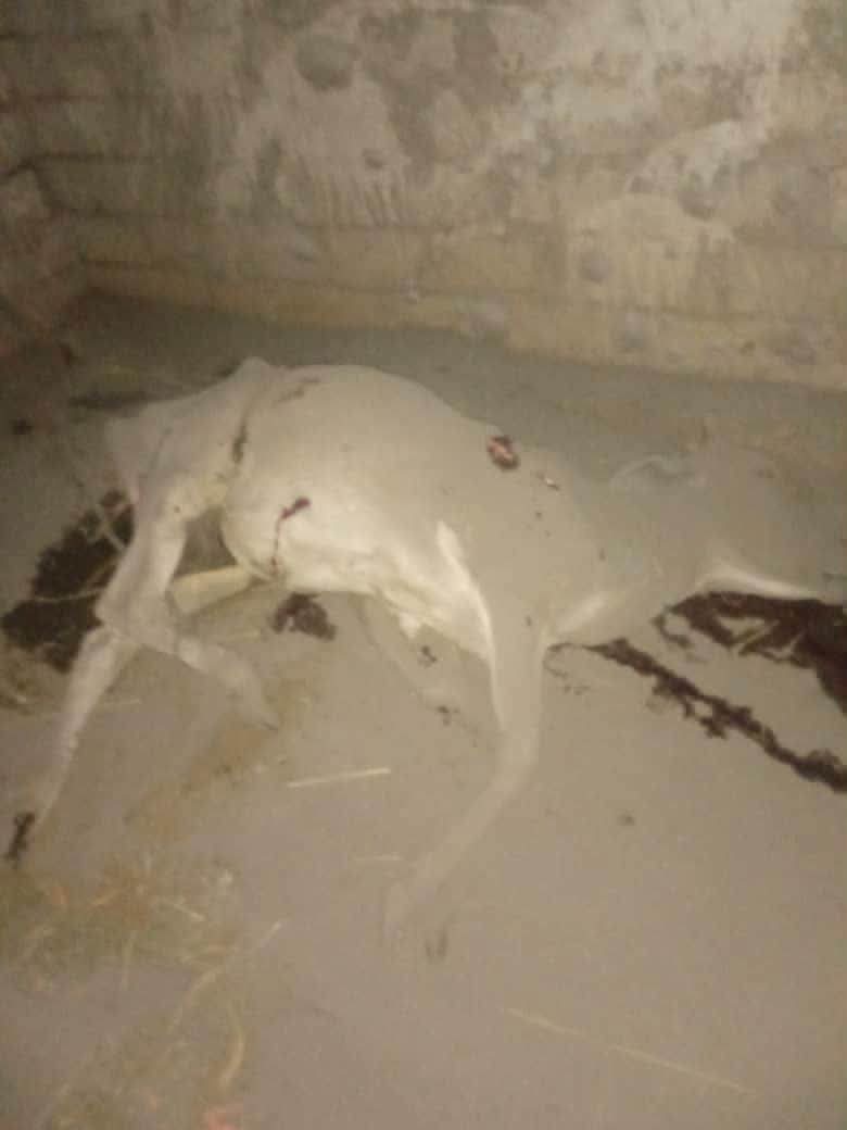 إصابة مدنيين جراء قصف حوثي استهدف منازل سكنية جنوب الحديدة